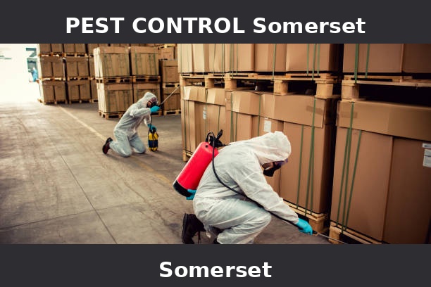 PEST CONTROL Somerset